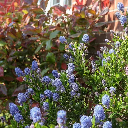 Pond Farm View Σπίτι διακοπών *